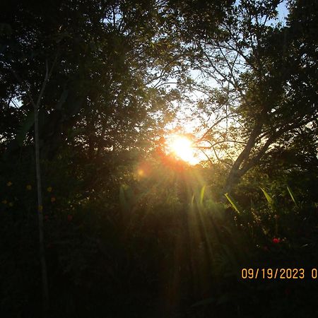 Casa Aquiares Lodge Posada Rural Turrialba Bagian luar foto